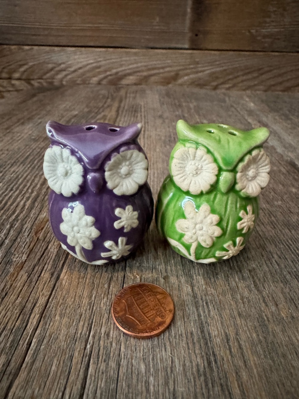 Adorable Ceramic Owl Salt and Pepper Shakers - Purple and Green
